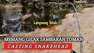 MELEDAK..!! BERTUBI TUBI STRIKE GANAS MANCING SNAKEHEAD DI SPOT BANJIR @RIZALTOK82