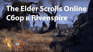  TESO - The Elder Scrolls Online. Сбор в Rivenspire