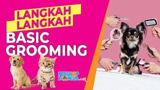 Langkah - Langkah Basic Grooming | Petshop Indonesia