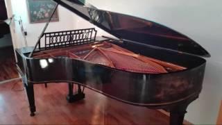 Bach Partitia c Sinfonie BWV 826  Steinway B