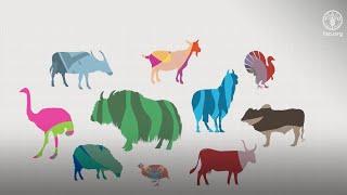 Diversity of Animal Genetic Resources