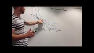 Explanation of Income and Substitution Effects