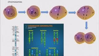 2018 Cholangiocarcinoma Foundation Annual Conference #4 - Day 1 - Basic Research Update