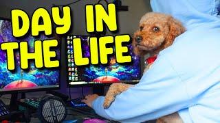 Day in The Life of a Gaming Content Creator and.. Dog