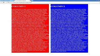 How to Create 2 Column Layout Design in HTML and CSS Website