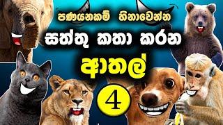 සත්තු කතා කරන ආතල් 4 කොටස Animal video athal | sattu katha karana video sinhala meme |sri lanka 2025