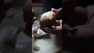 How to Make Tzamik Potatos (Apricot Nut Milk) | HUNZA, Pakistan food