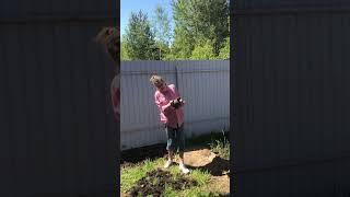 Волшебная лампа #юмор #семья