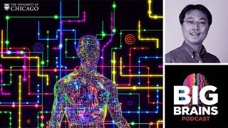 How Bioelectronics Could Heal Our Bodies And Minds, with Bozhi Tian