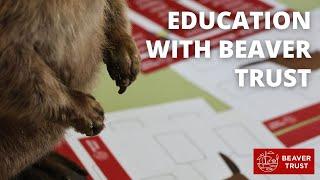 Education with Beaver Trust: Shaping the future of nature connection