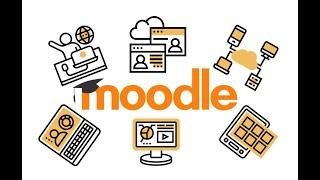 Как добавить тест? Инструкция по moodle