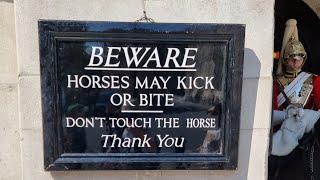 NEW SIGNS DON'T TOUCH THE HORSE are hung and STRAIGHTENED by a tourist at Horse Guards!
