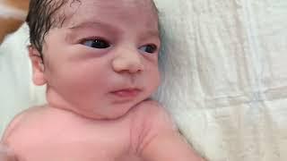 we have never seen such cute and calm newborn baby just after birth #cute #love #viral