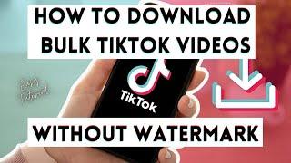 How To Download Bulk TikTok Videos without WaterMark