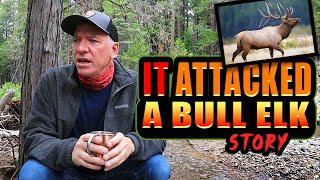 WYOMING Ranch Hand has Disturbing Encounter!