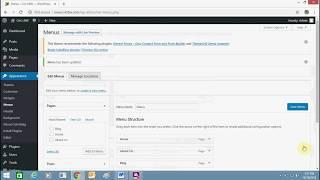 How To Display Custom Homepage and Blog Page On Your WordPress Website