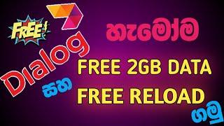Dialog Free Data | Get 2GB Free Data and Free Reloads | Dialog Free Data 2024 | Thimika Bro