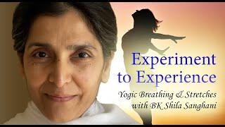 Experiment to Experience: Yogic Breathing & Stretches with BK Shila Sanghani