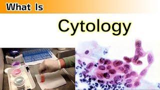 What is Cytology ?  ( Clear & Complete Overview )