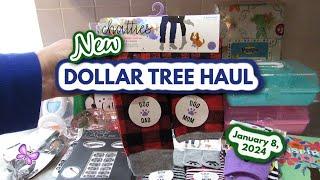 NEW DOLLAR TREE HAUL!  January 8, 2024