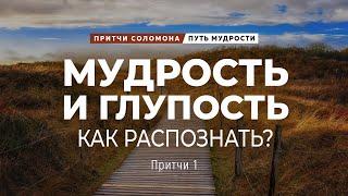 Путь мудрости: 1. Мудрость и глупость. Как распознать? | Пр. 1 || Андрей Зубарев