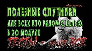 Невервинтер Полезные спутники для всех кто рядом с целью в 20 модуле