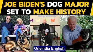 Joe Biden's dog Major will make history as first rescue dog in the White House | Oneindia News