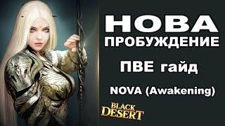 НОВА пробуждение PVE гайд. Nova (Awakening) PVE Guide BDO - Black Desert (MMORPG)