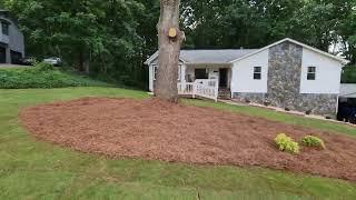 ZEON ZOYSIA SOD | We Saved this Military Veteran $5400 Today | Brooks Landscaping | God Bless 