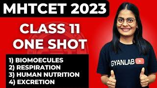 MHTCET 2023 | Class 11 Complete Biology ALL Chapters | GYANLAB | ANJALI PATEL