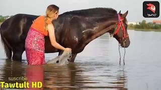  Fantastic! How to wash Horse in Small park - Beautiful Village Girl Cleaning Horse And Care 