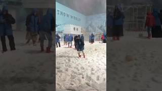 Snow world tour #trending #viral #youtubeshorts #minivlog #