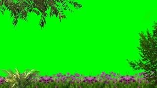 Beautiful Nature Green Background Video | Green Screen Nature Video Effects
