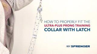 How to Get the Proper Fit: Herm. Sprenger Ultra-Plus Prong Dog Training Collar with Latch