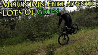 Mountain Ebike Adventure Still Spring & Green | Cove Bafang BBSHD