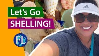  Welcome to Florida Beach Walks! #shelling #florida #shells Virtual Shelling!