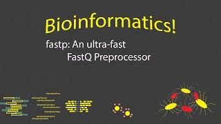Bioinformatics - fastp FastQ Preprocessing Tool (Timestamps)