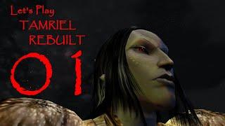 Let's Play Tamriel Rebuilt - Episode 1 - Teyn and Andothren