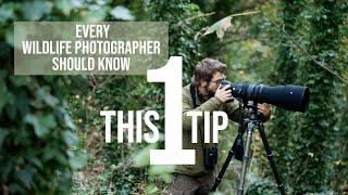 One tip you NEED TO KNOW as a wildlife photographer | Get a shot when it counts!