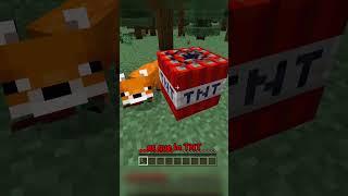 El mejor truco de Minecraft! 