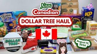 Amazing $100 Canadian DOLLAR TREE Haul! Awesome Finds!! August 12, 2024