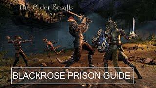 Veteran Blackrose Prison Arena Guide | The Elder Scrolls Online