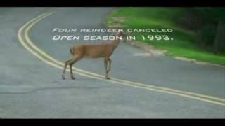 9 facts about reindeer