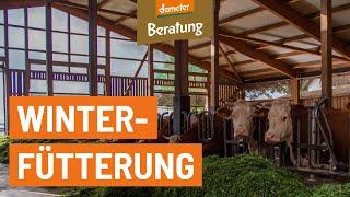 Fütterung für Milchkühe | Futterrationsgestaltung in der Winterfütterung