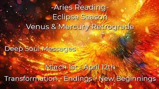 ️Aries | The Metamorphosis Begins!  A New Destiny Is Born!