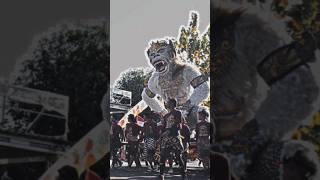 Ogoh-ogoh halaman keren #ogohogoh #karnaval #hanuman #dance #short