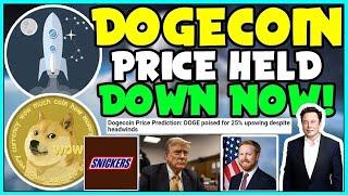 Elon Musk And Trump Hints Dogecoin's Secret Plan! (HUGE Holders and Twitter Payment!) TESLA!