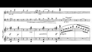 Henriette Renié - Trio for Violin, 'Cello and Harp (c. 1901) [Score-Video]