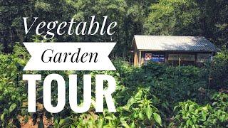 Vegetable Garden Tour - Hammock Haven Farm