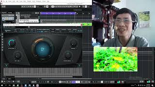 Cắm thẳng Mic vào Máy Tính -  Đưa vô CUBASE để sử dụng AutoTune Hát LiveStream - Không cần SoundCard